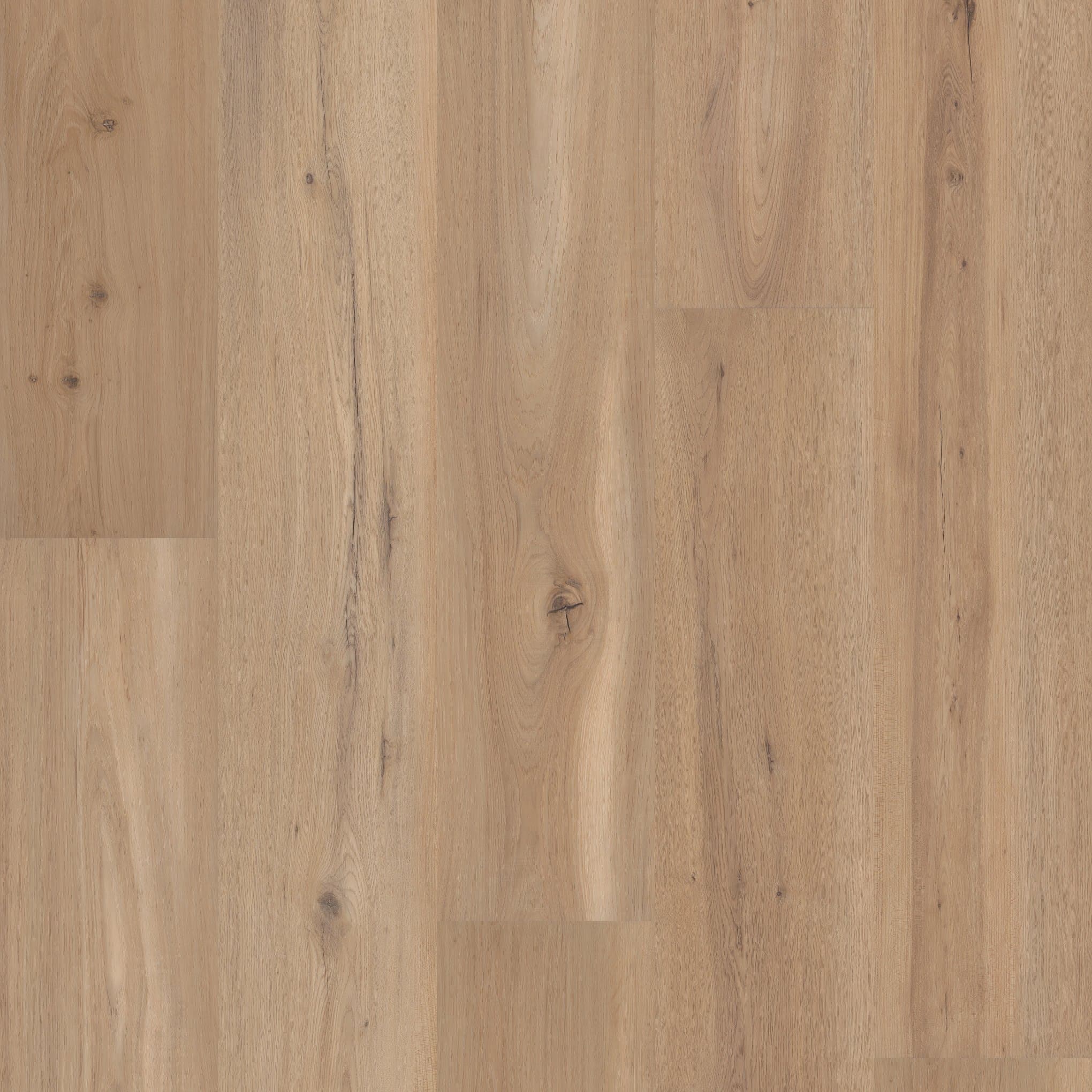Blonde Oak